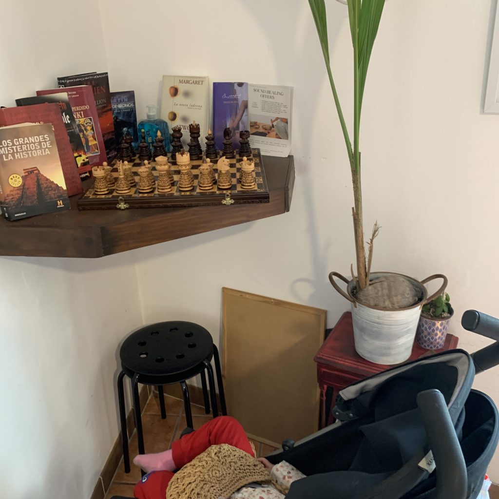 shelf with books in cafe Solo