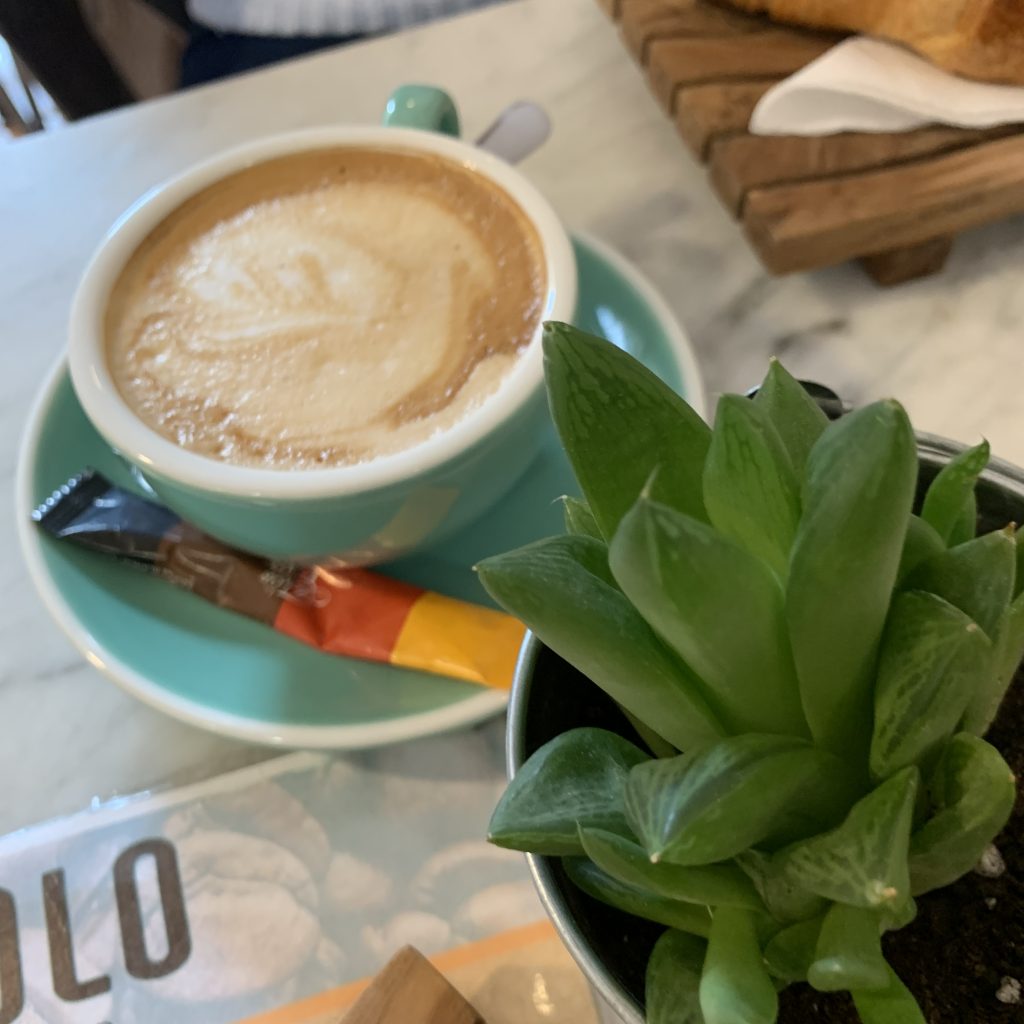 Coffee with milk next to the green plant 