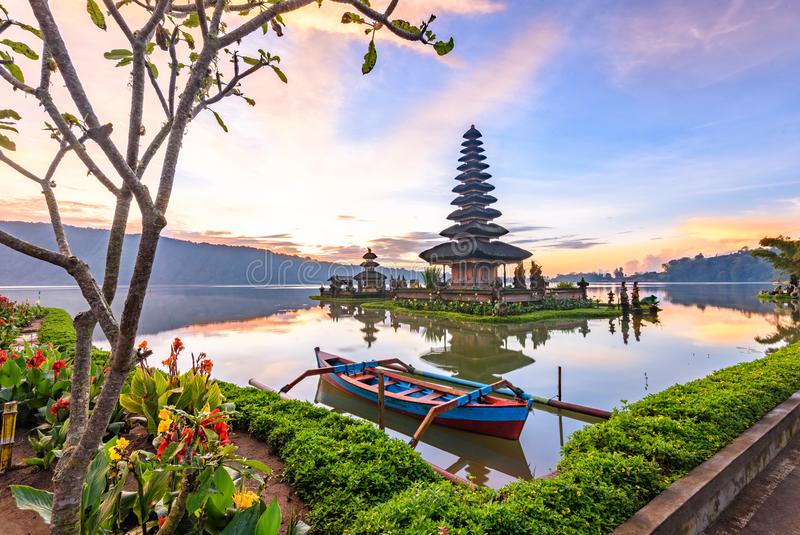 Tropical garden of Bali, Indonesia.