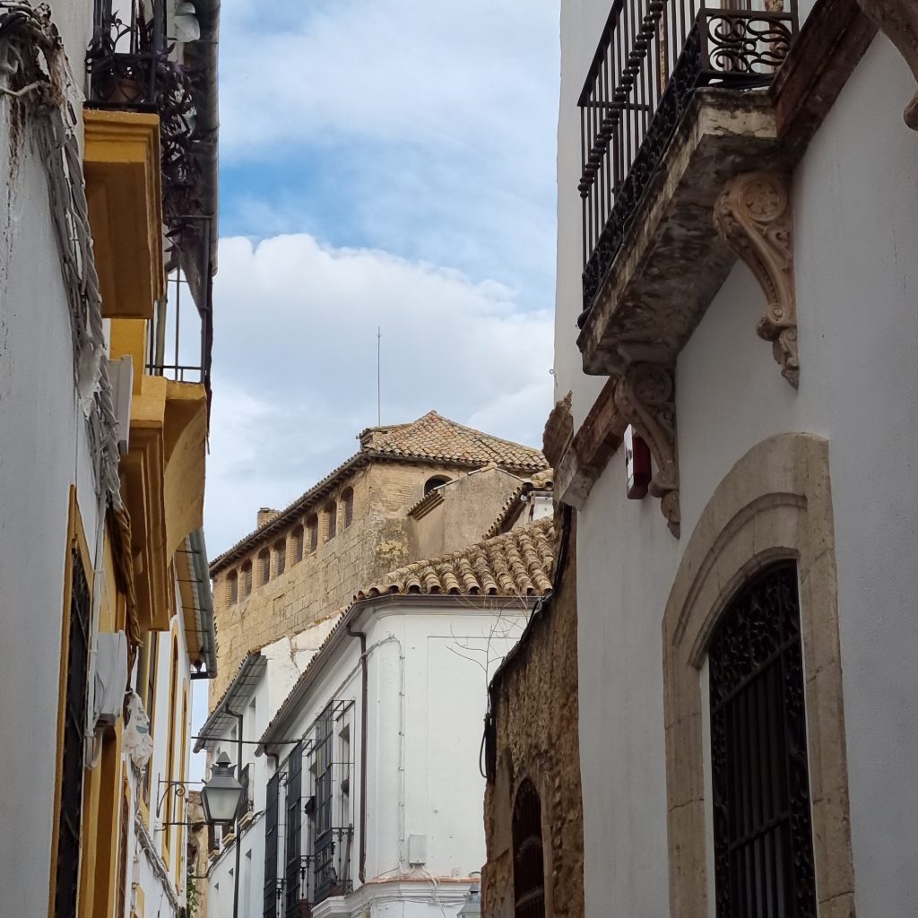 Hotel Hospes Palacio del Bailío, Cordoba Outside unsuspecting appearance