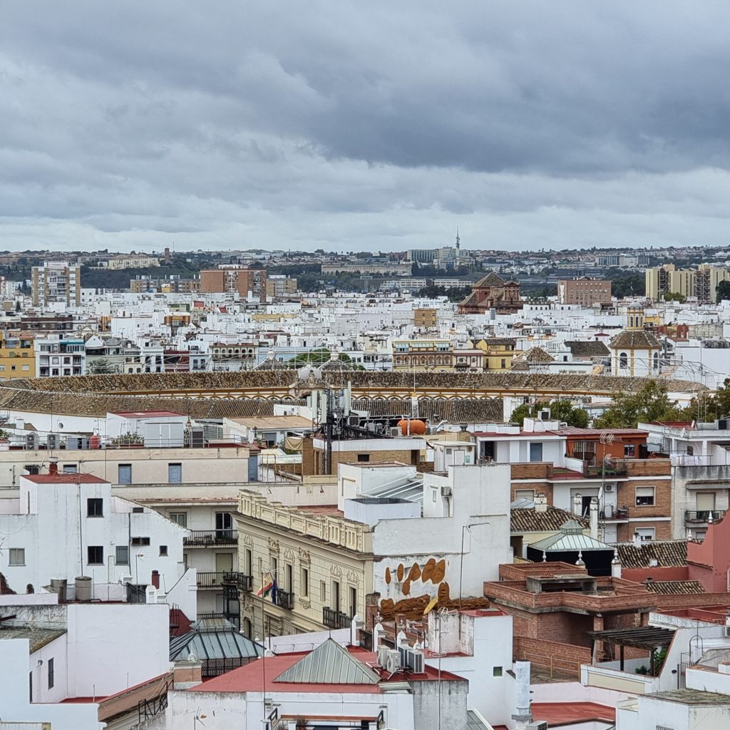 Amazing city view from QUERENCIA DE SEVILLA hotel roof top