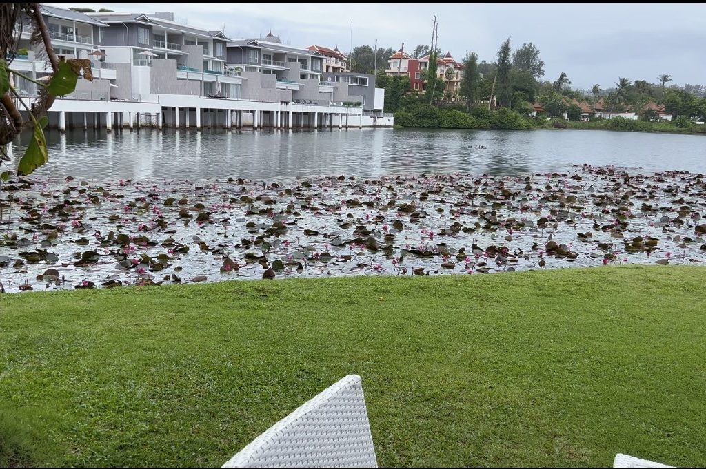 Amazing nature and parks at Angsana Villas Resort Phuket 