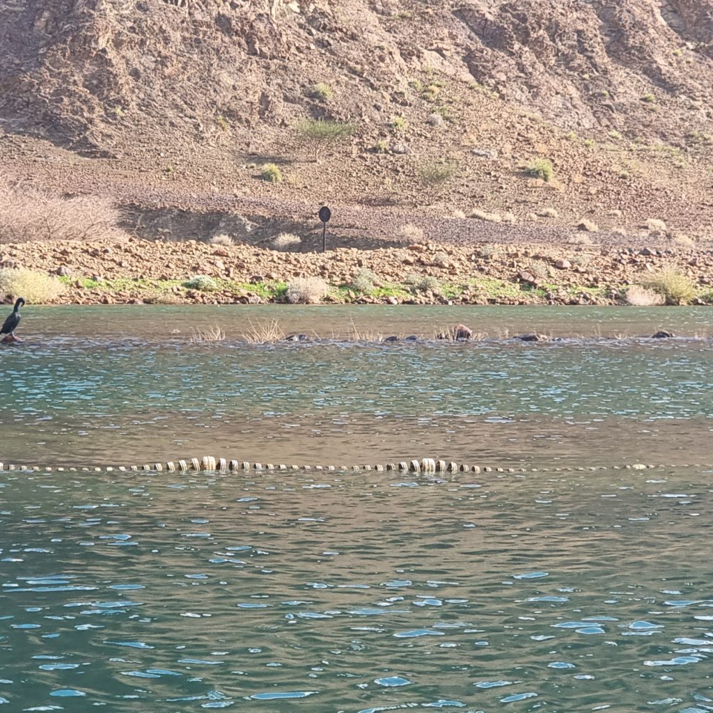 Hatta DAM Dubai